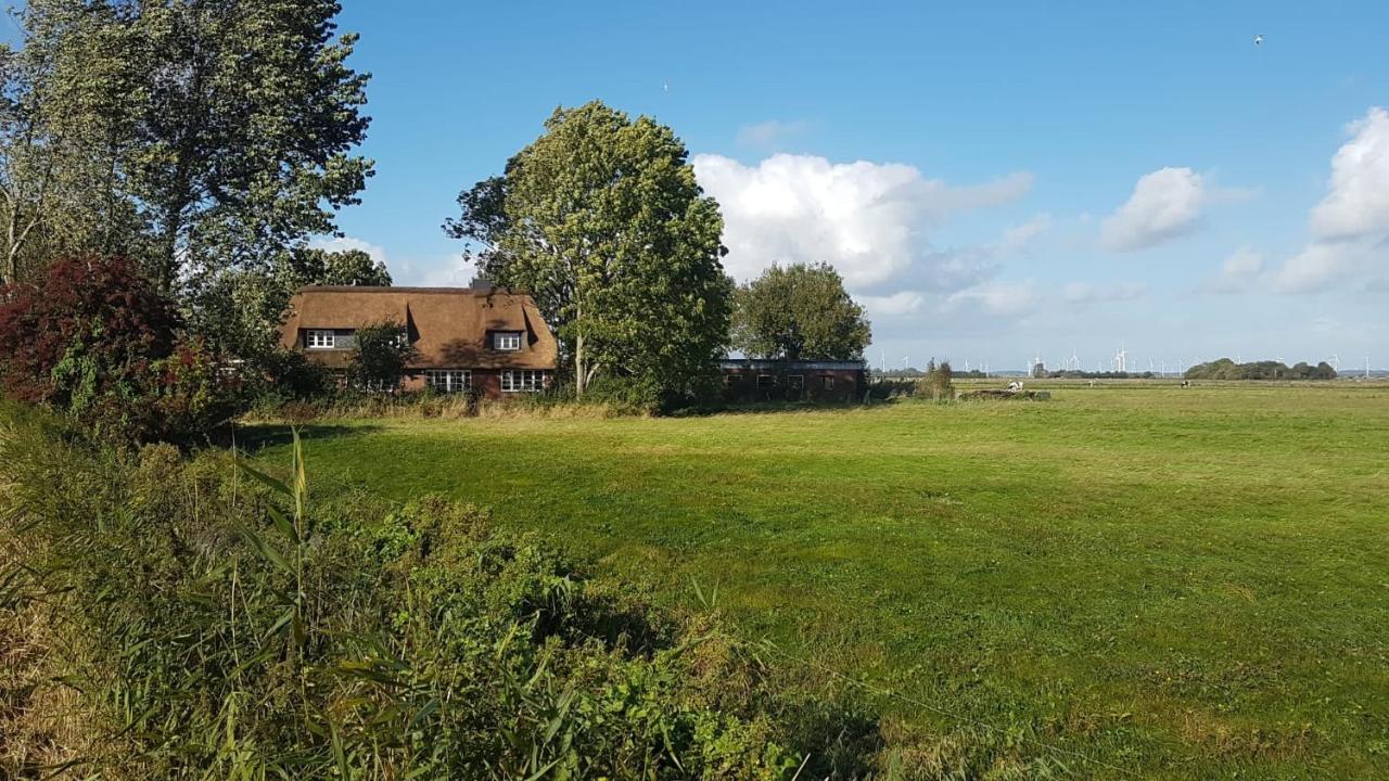 Ferienwohnung Diekblick - Kleiner Deichhof Hattstedtermarsch Esterno foto