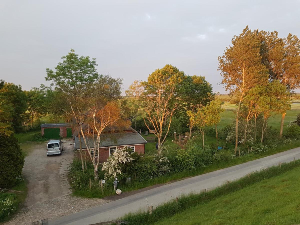 Ferienwohnung Diekblick - Kleiner Deichhof Hattstedtermarsch Esterno foto