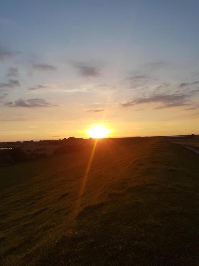 Ferienwohnung Diekblick - Kleiner Deichhof Hattstedtermarsch Esterno foto
